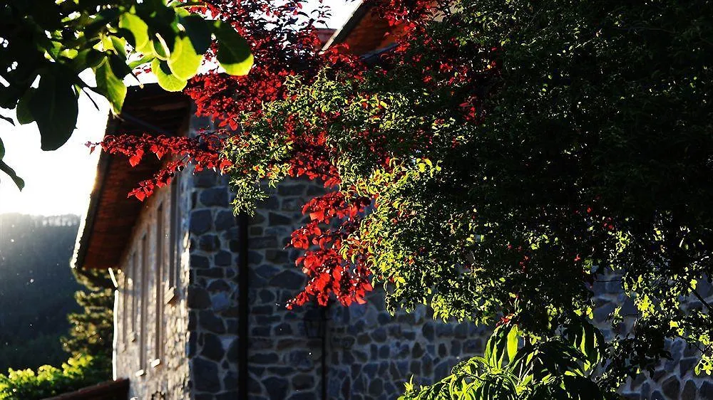 Affittacamere Borgo I Tre Baroni Moggiona